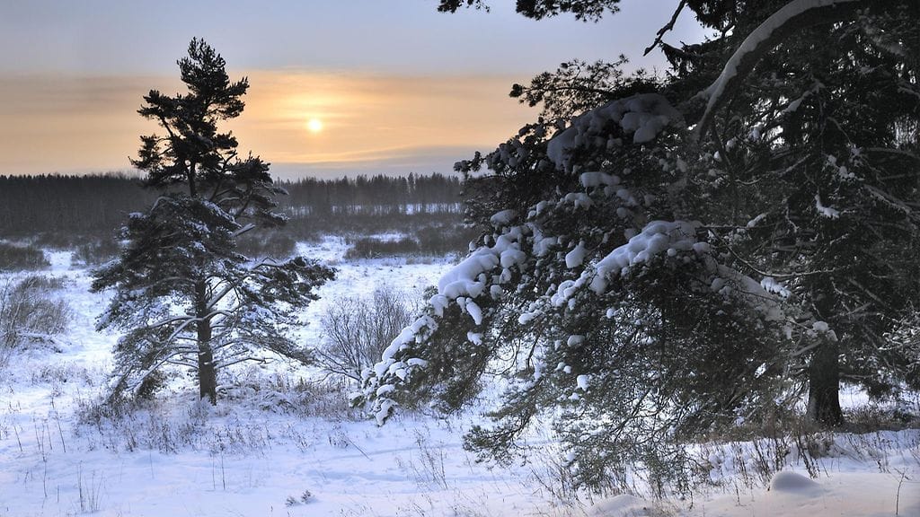 Aurinko näyttäytyi vuoden pimeimpänä päivänä Hyvinkään Åvikissa 2010