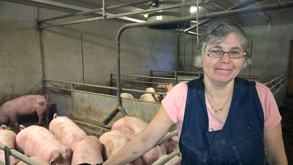 Sikatilallinen Rita Wegelius, Hattula