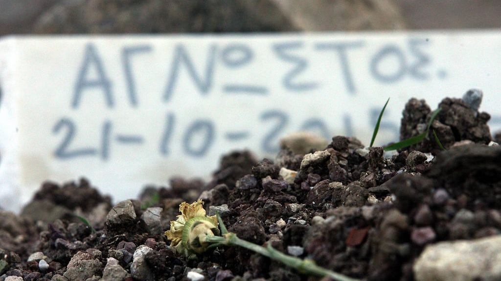 Tuntemattoman lapsen hautakivi Lesboksen saarella Kreikassa lokakuussa 2015.