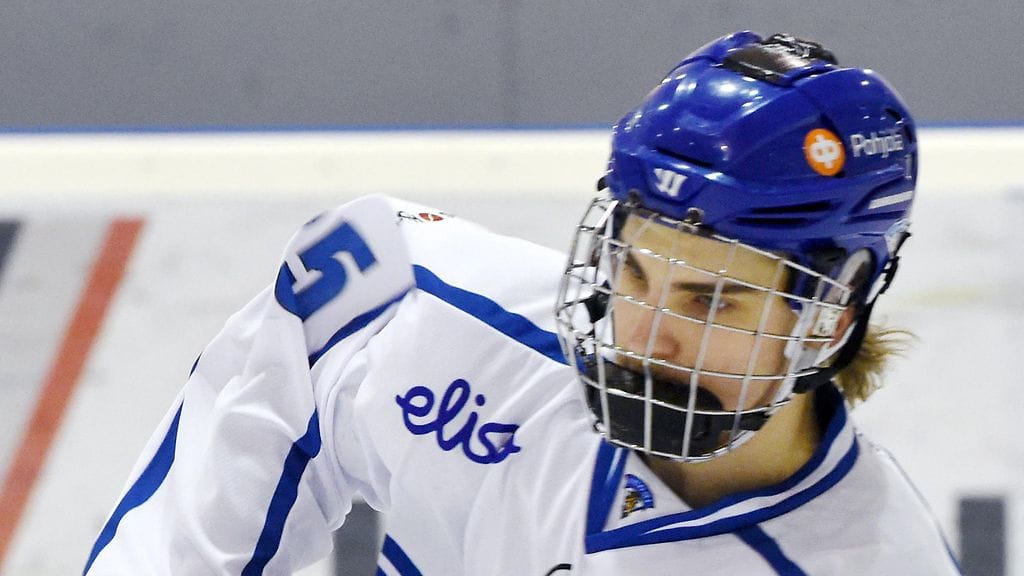 Julius Nättinen, 2015