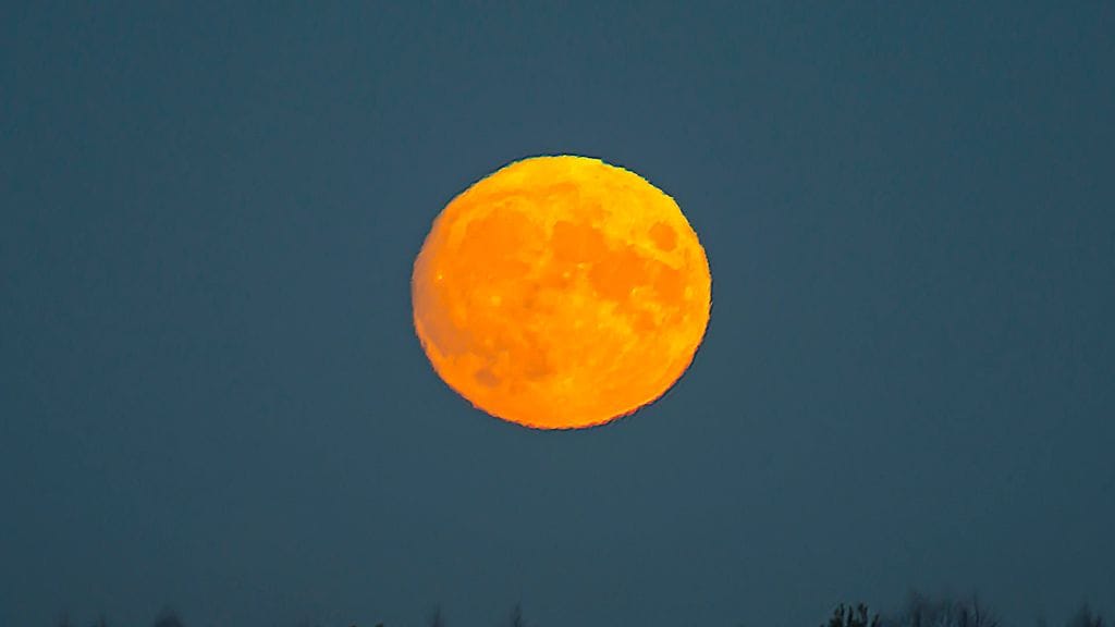 _DSC8743 L+hdr rw hd (1)