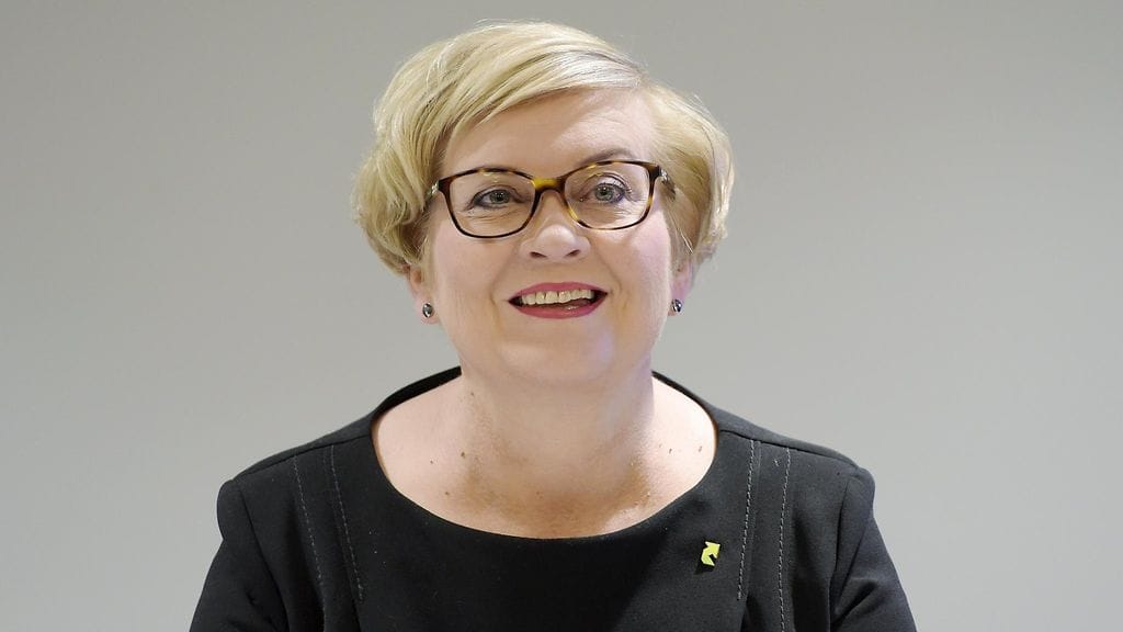 Anu Vehviläinen aloitti liikenneministerinä Matti Vanhasen (kesk.) hallituksessa.
