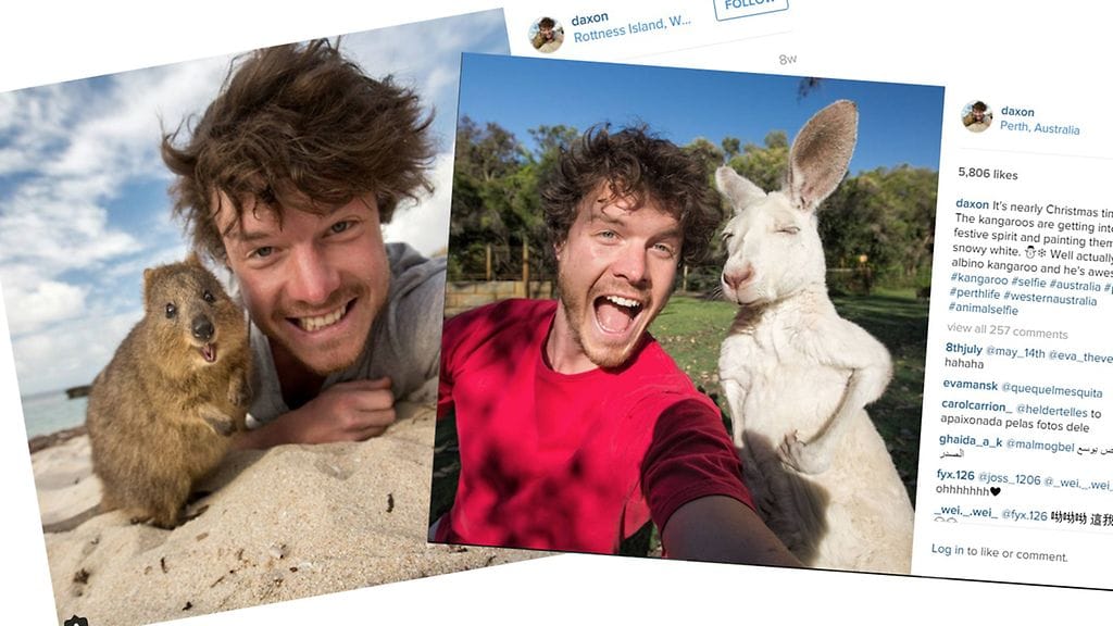 Pystyisitkö sinä tähän? Kuvaaja kertoo yhden kuvan vaativan jopa viiden tunnin työn.