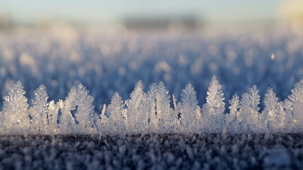 Kuva: Maarit Siitonen