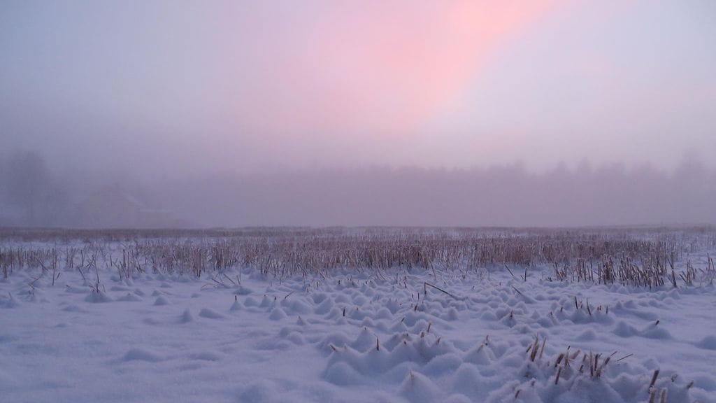 Pakkanen kiristyy viikonlopun ja ensi viikon aikana. Pakkaslunta Ullavassa 28. joulukuuta 2015. Kuva: Jaana Mäkelä