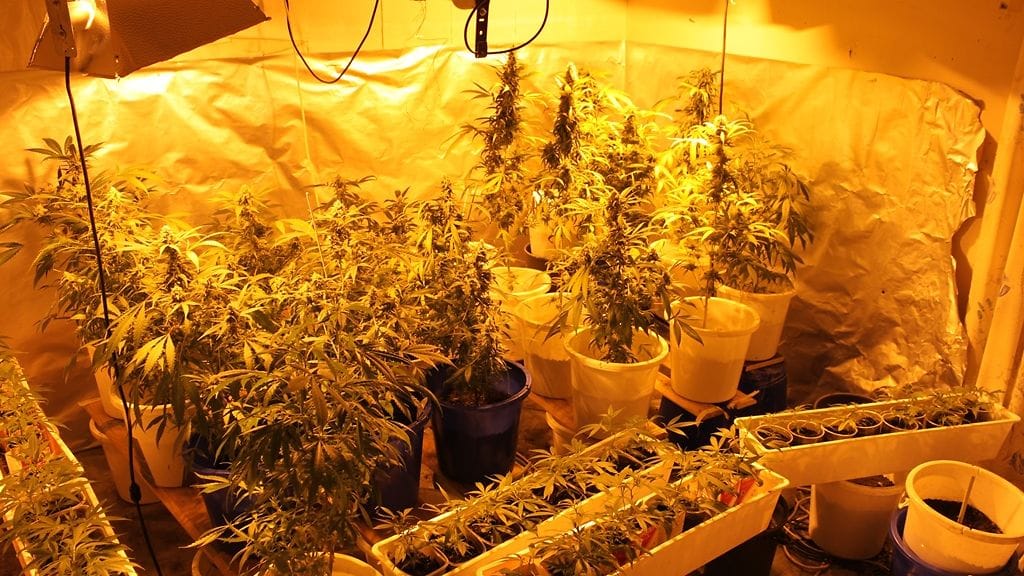 Kaikki rikoksesta epäillyt ovat mikkeliläisiä alle 30-vuotiaita miehiä. Arkistokuva.