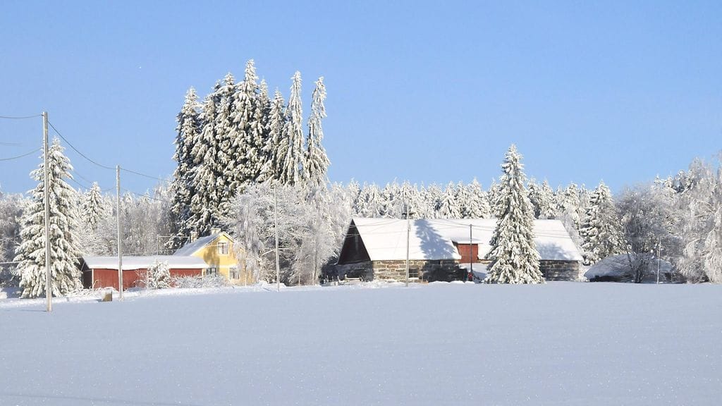 "Se oli aivan periaatekysymys alun perin, mutta muuttaa sitä piti", lukija kertoo päätöksestään olla muuttamatta takaisin kotiseudulle.