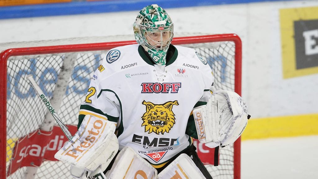 Henri Kiviaho, Ilves