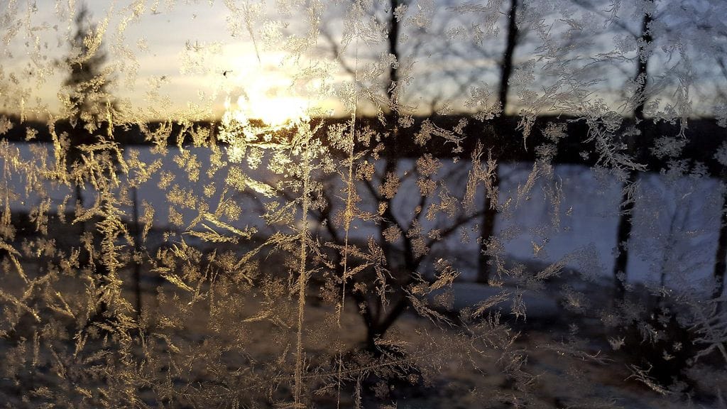 Kuurankukkasia Keuruulla 3. tammikuuta 2016.