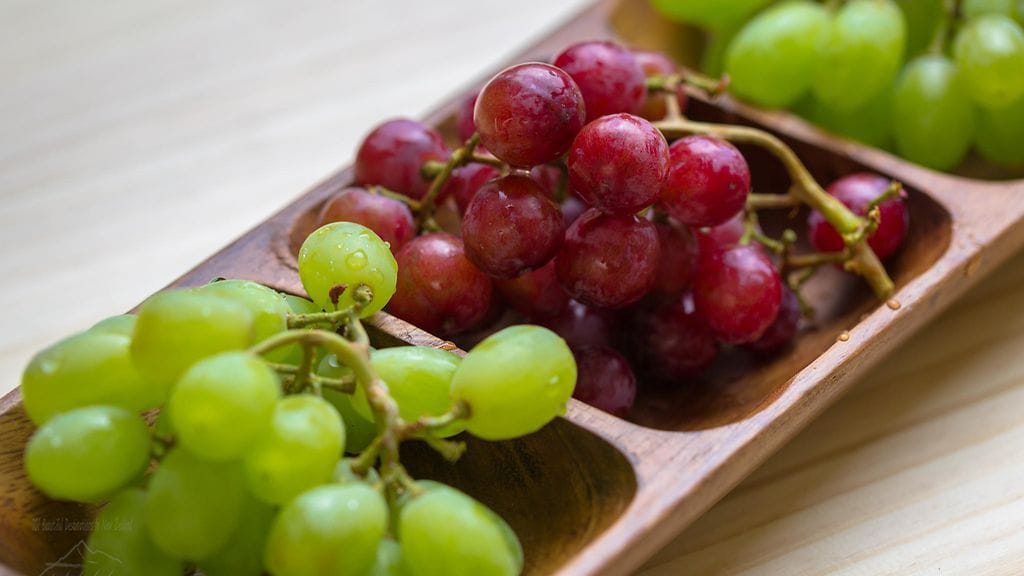 Pakastetut rypäleet ovat kuin pieniä jäätelöpalloja.