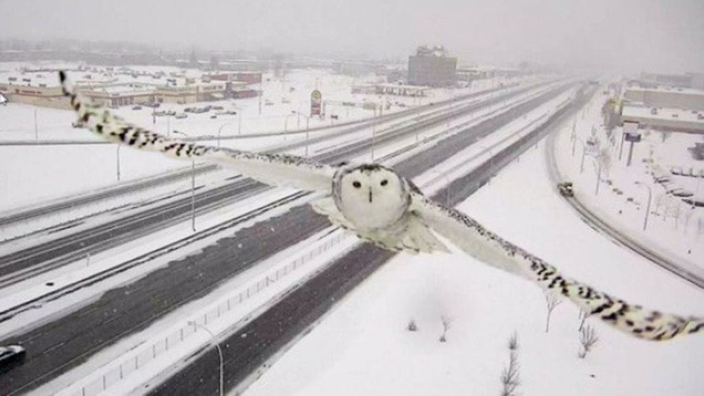 Harvemmin näin komeaa kelikamerakuvaa näkee.
