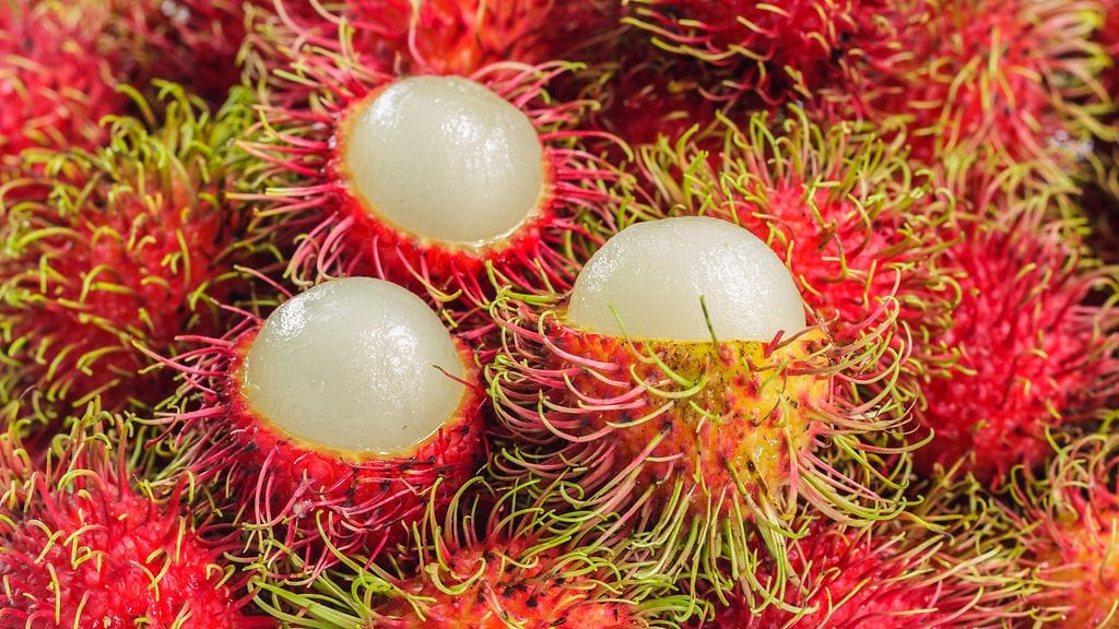 Rambutan