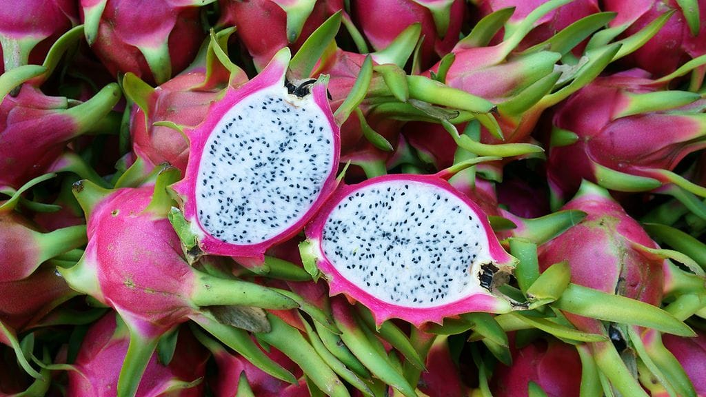Pitahaya
