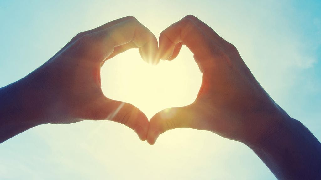 Hurley-koirasta tuli rakkauden ilosanoman välittäjä.