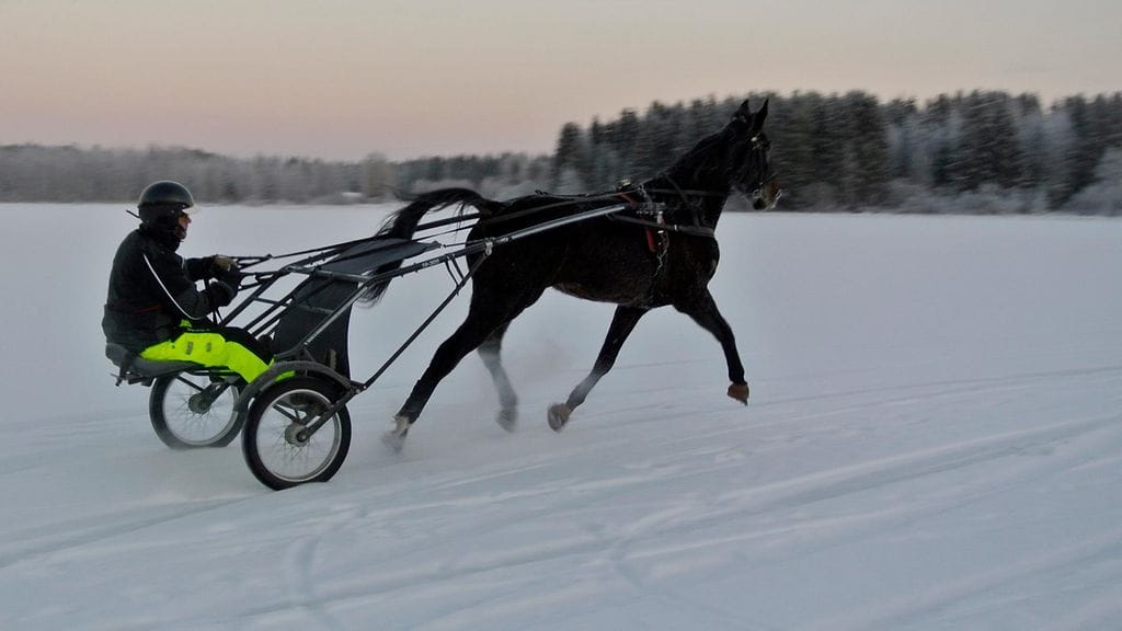 Sweet Surviver on viimeistellyt vireensä järven jäällä.