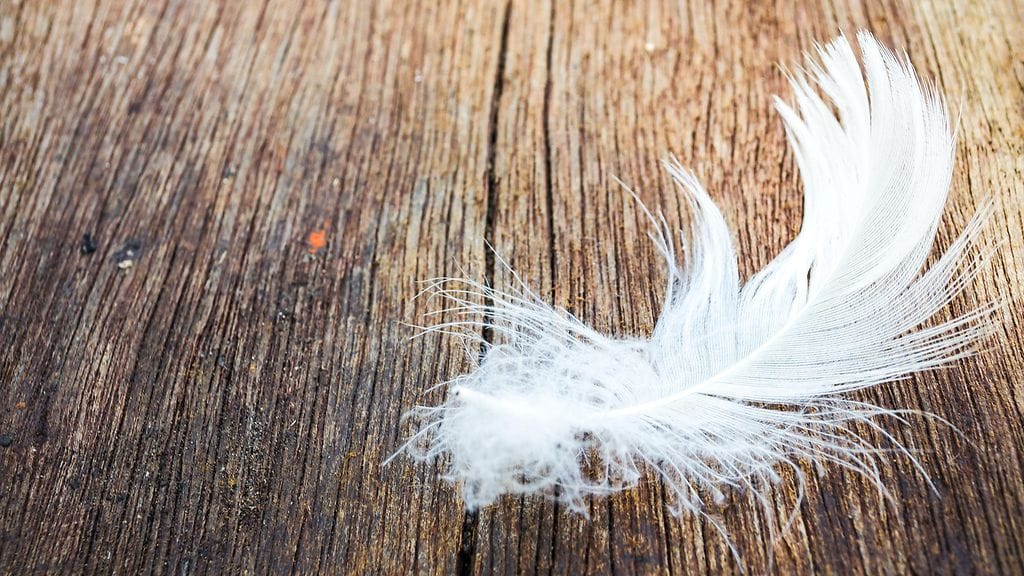 Osaatko pestä untuvavaatteen?