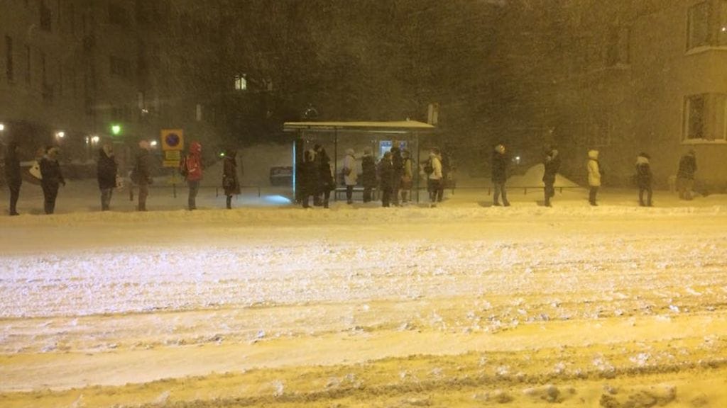 Suomalaiset ja oma tila.