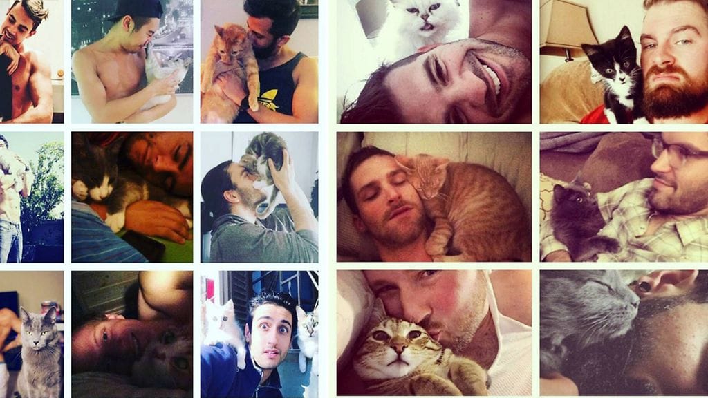Suosittu Instagram-tili kokoaa yhteen kuumat miehet ja suoloiset kissat.