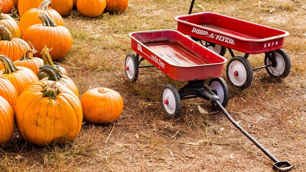 Radio Flyer -kärryt ovat suosittuja vintage-leluja Yhdysvalloissa.