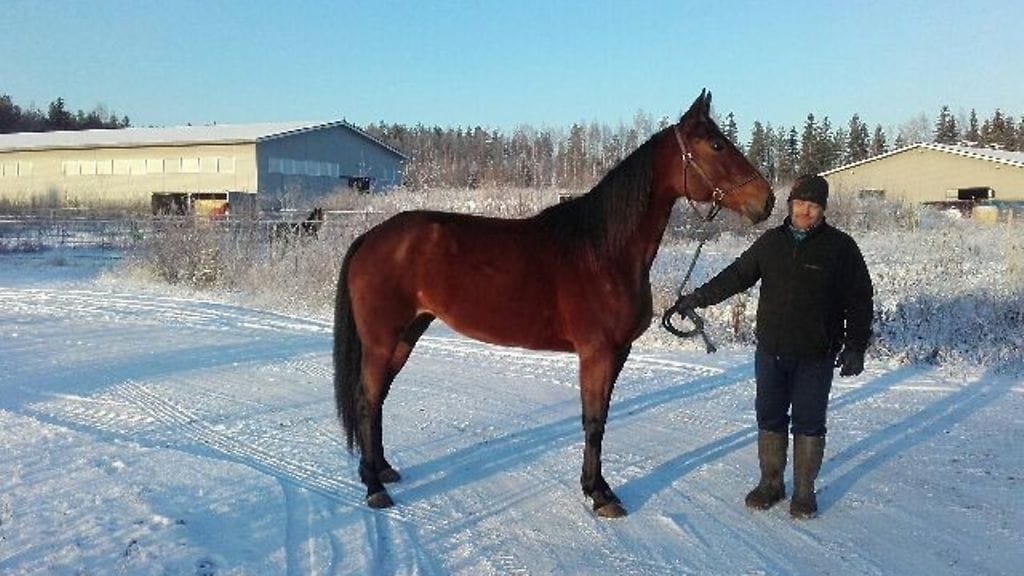 Pasi Tikkala ja Nemi Broline talvimaisemissa.