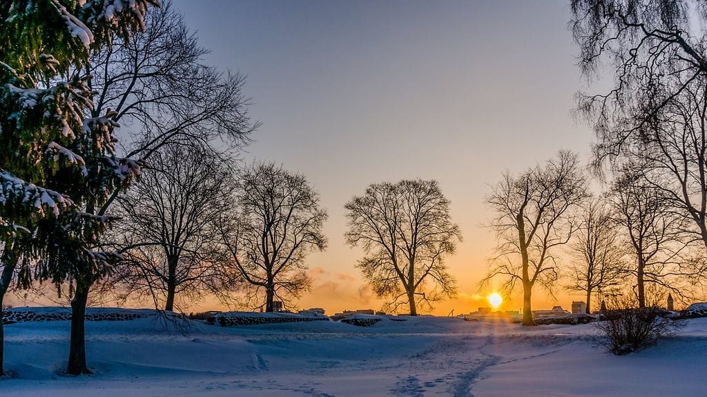 Pepe Salo kuvasi pakkasmaiseman Lappeenrannassa torstaina 14. tammikuuta 2016.