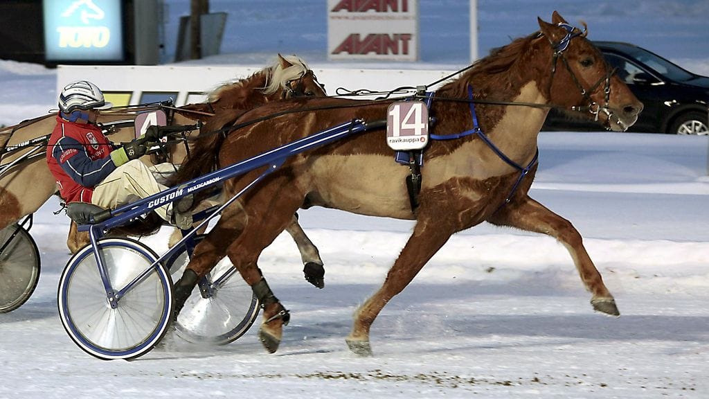 Jani Ruotsalainen ohjasti Diktaattorin voittoon (arkistokuva).