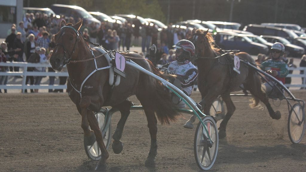 Vitter keskittyy nyt Suomessa ravattaviin kilpailuihin.