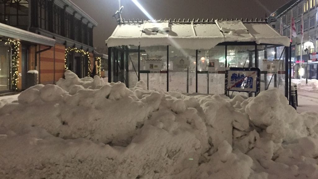 (F) IMG_0912 gborg snö