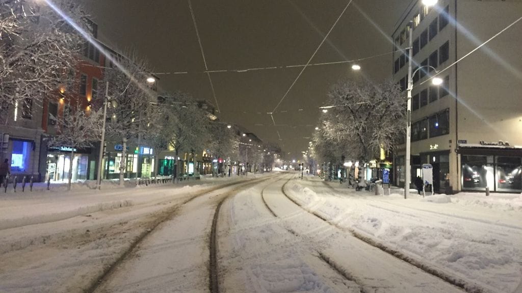 (F) IMG_0911 gborg snö