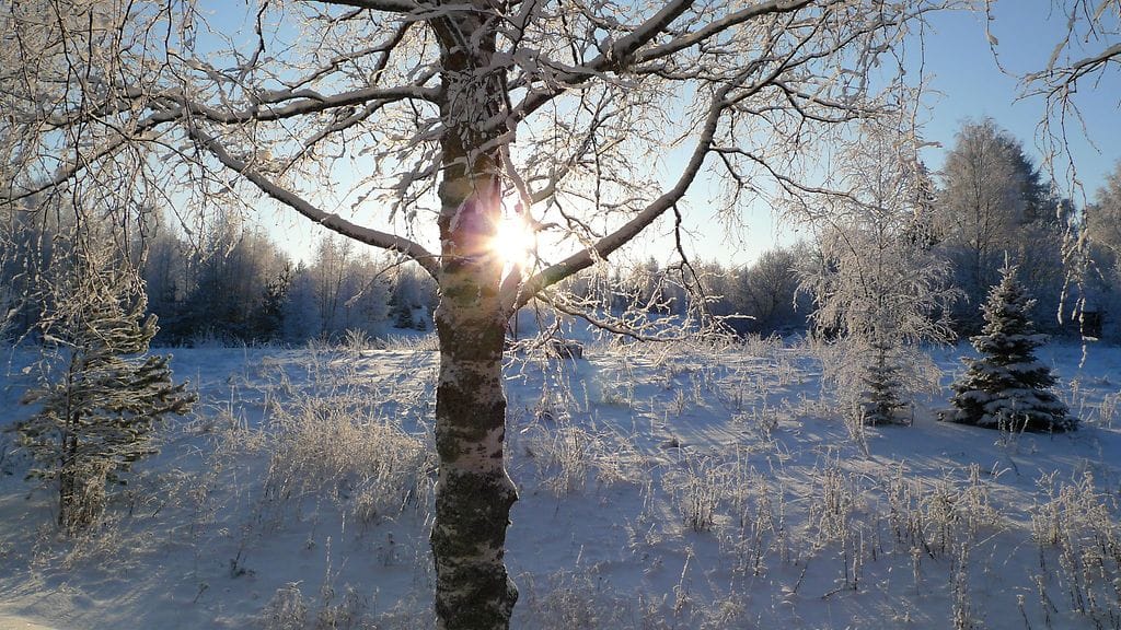 Lukijan sääkuva Kiteeltä.