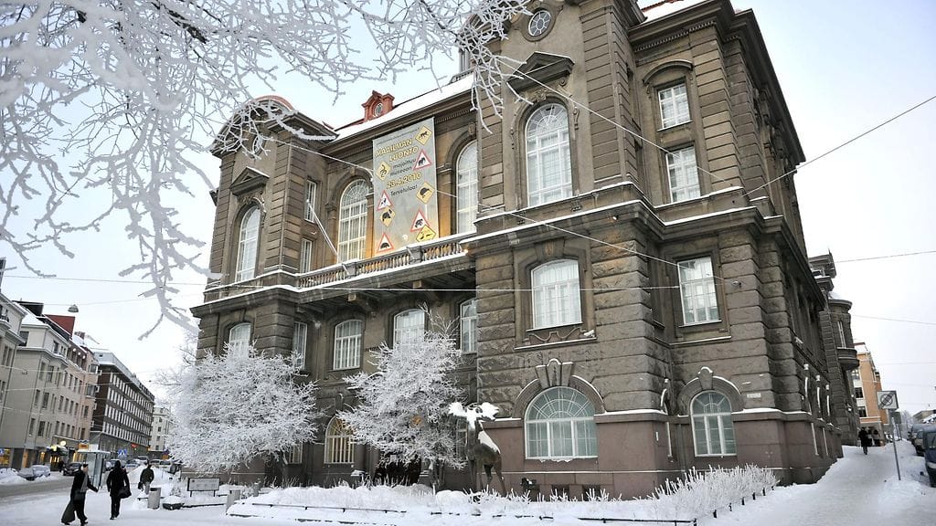 Helsingin Luonnontieteellisessä museossa elää Suomen luontoon kuulumaton hämähäkkilaji.