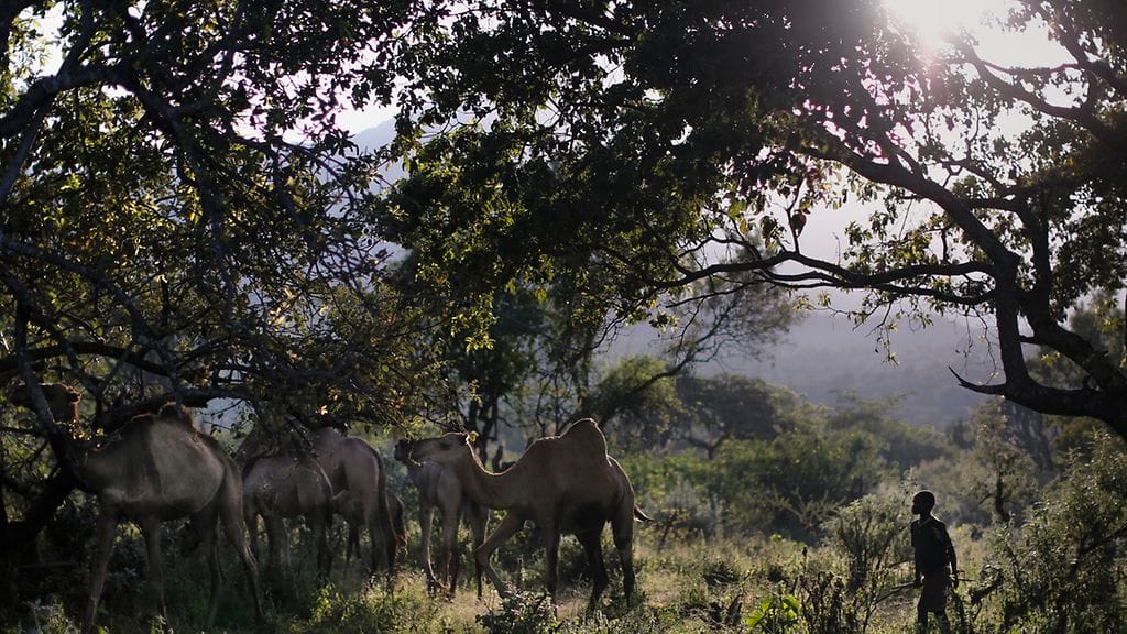 Nelikkoa kuljettanut kopteri syöksyi maahan Turkana-järvellä sijaitsevalla saarella tuntemattomasta syystä sunnuntai-iltana. Kuvituskuva Turkana-järveltä.