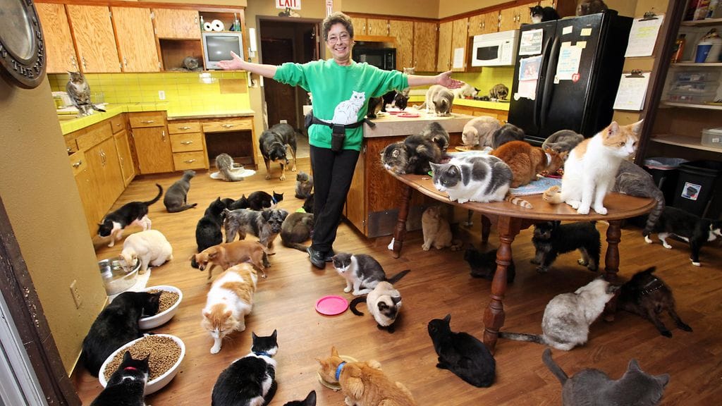 Lynea Lattanzio on antanut kissojen vallata oman kotinsa hyvän asian puolesta.