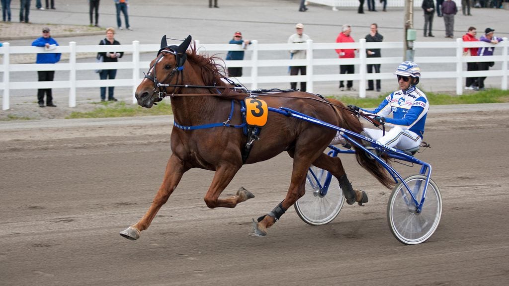 Porin Toto4-kierroksella nähdään tauolta palaava Boker. Hevonen on uransa aikana tienannut yli 318 000 euroa.