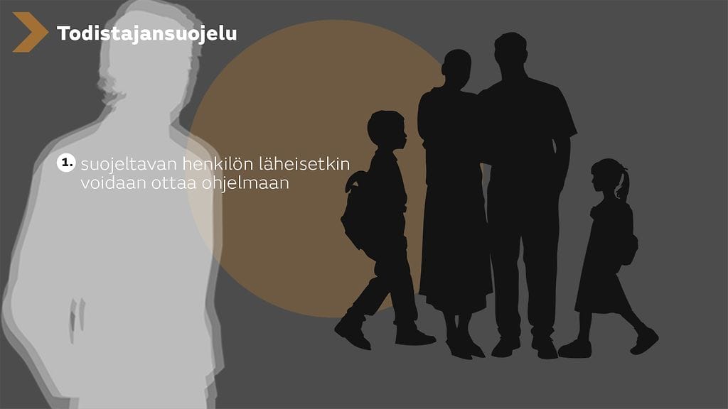 Todistajansuojeluohjelma 2