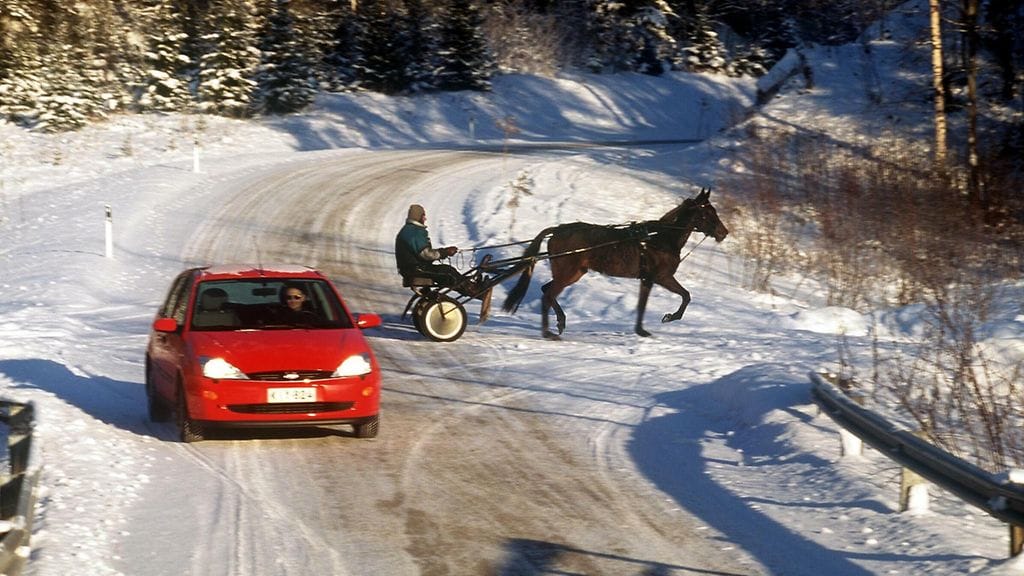 Kun kohtaat hevosen liikenteessä, noudata erityistä varovaisuutta.