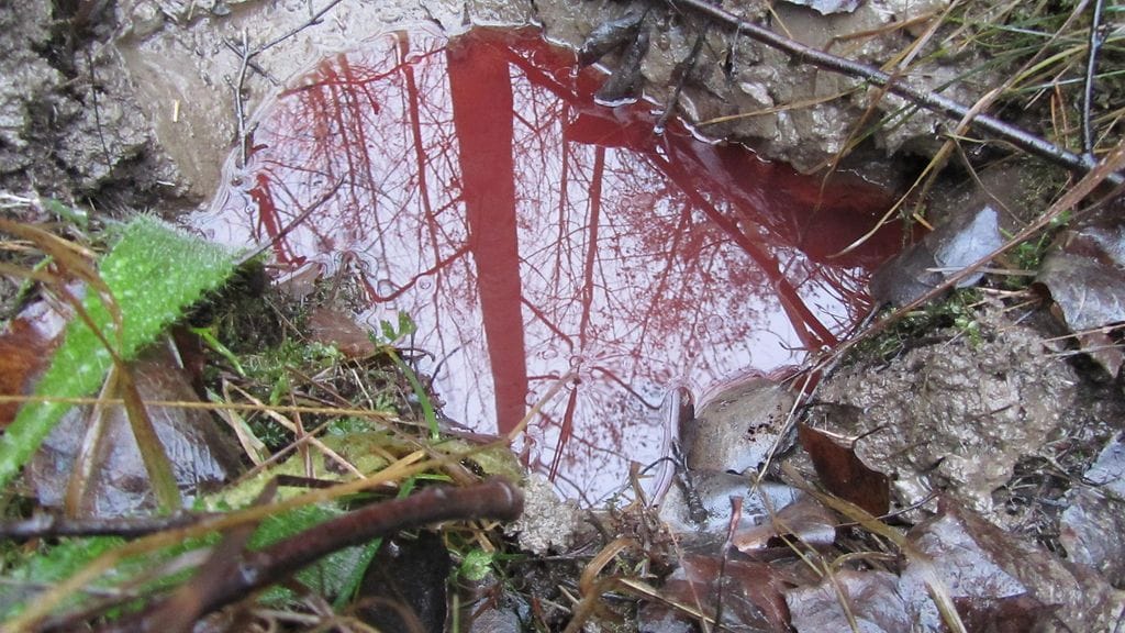 Kuvituskuva. Kuvan öljypäästö ei liity tapaukseen.