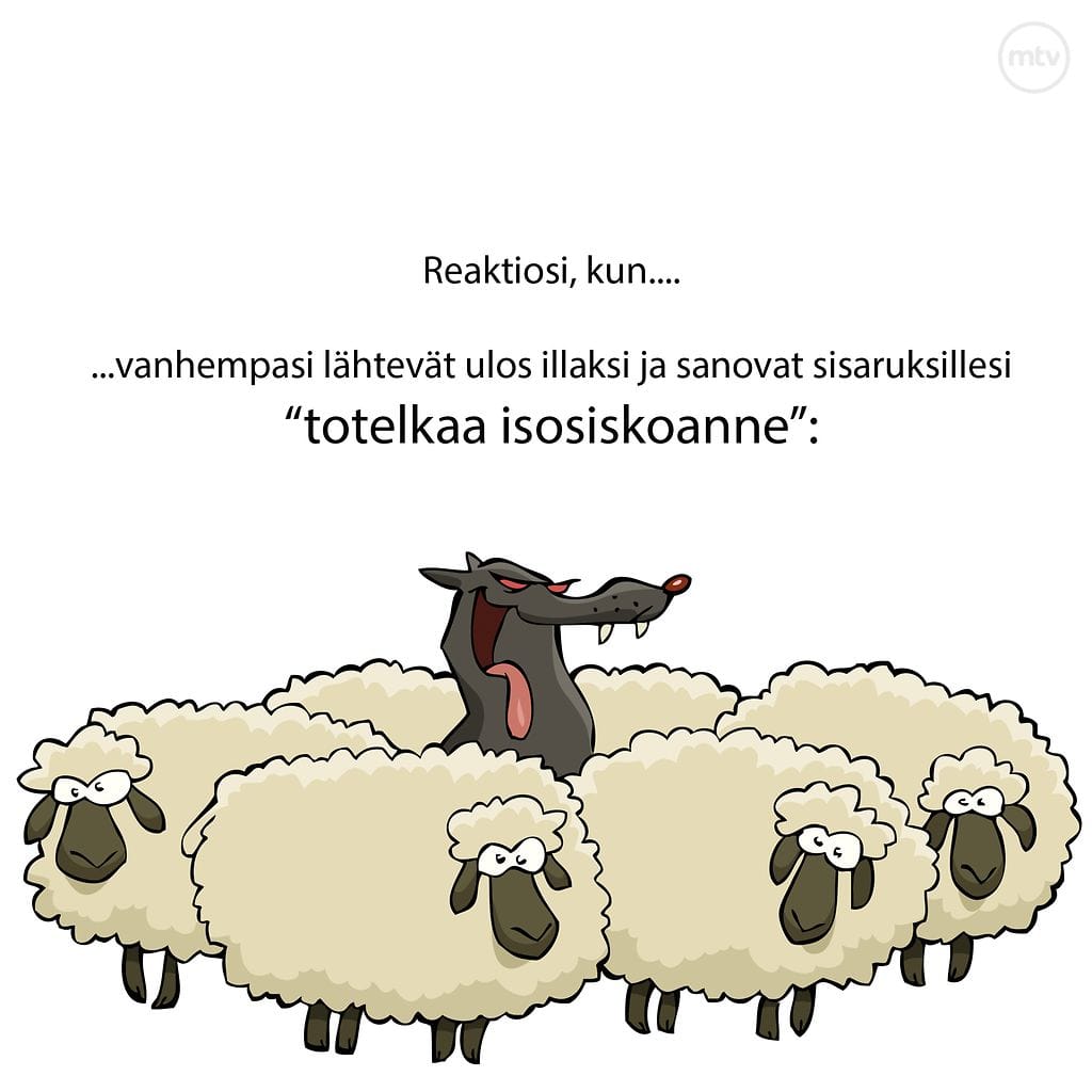 sisarusmeemi
