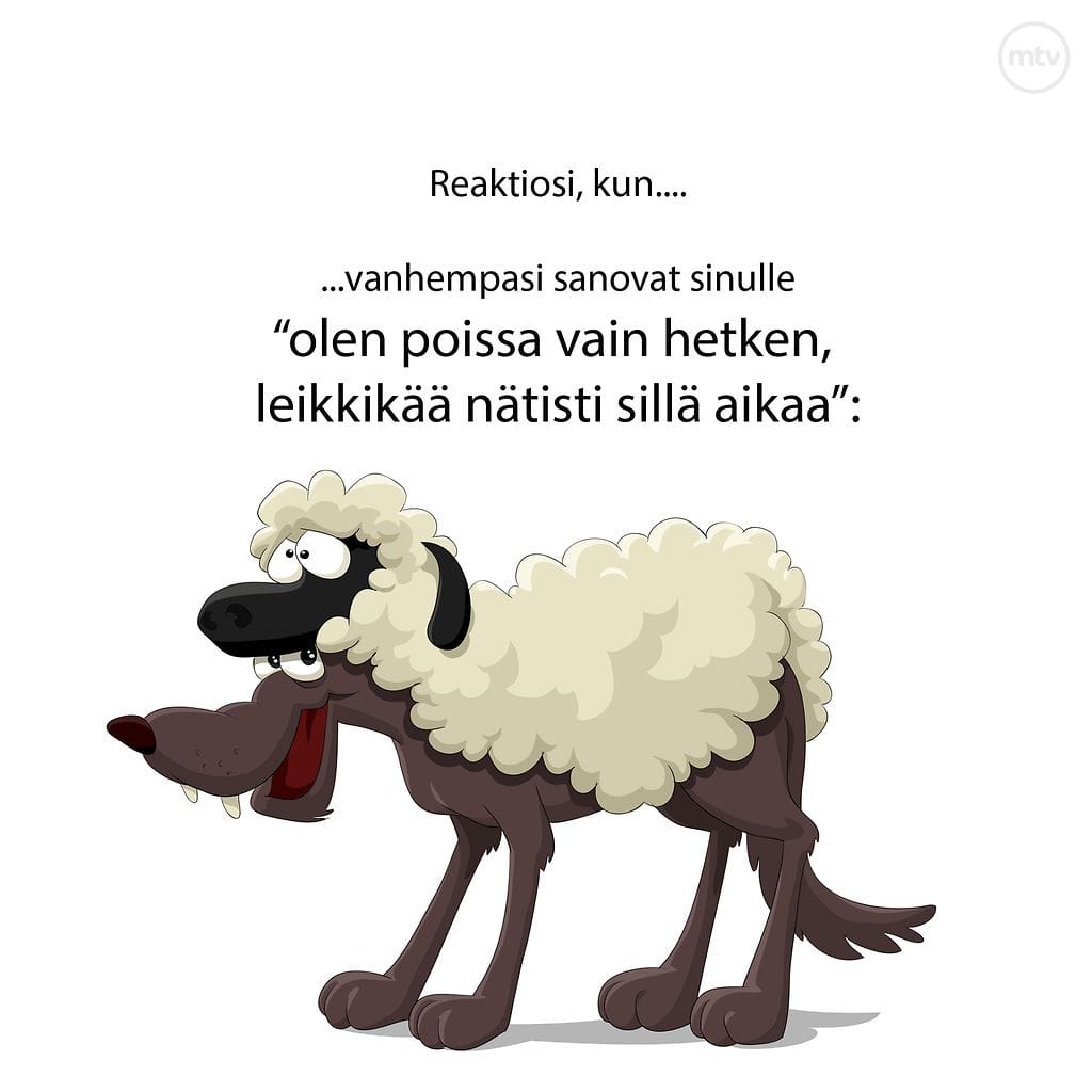 sisarusmeemi1