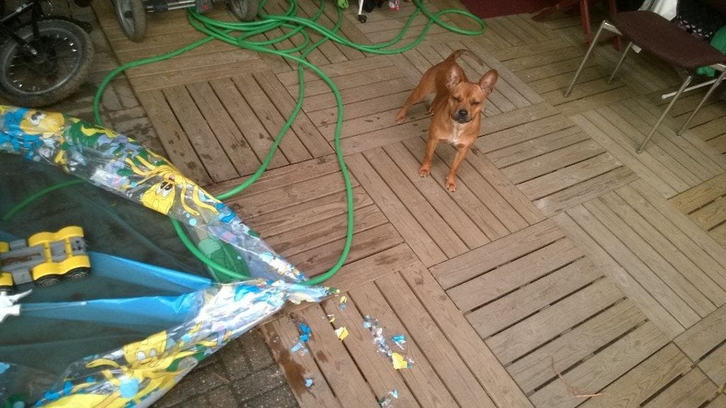 10325600_10152392443252591_8901935941329898393_n