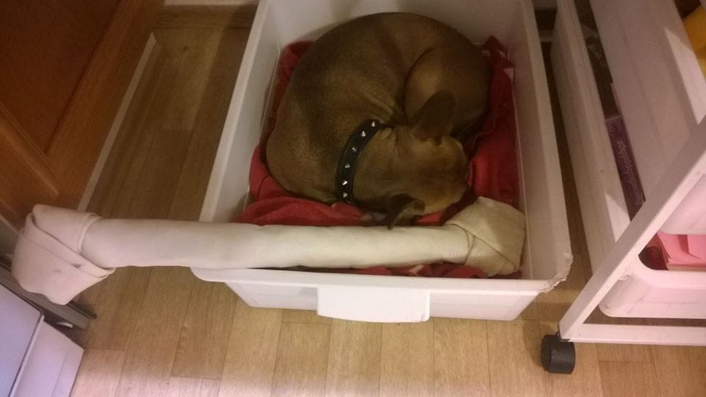 10408812_10152904096057591_6379540443056407819_n