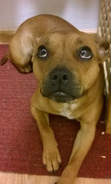 10509621_10152478488047591_7981566572131624164_n