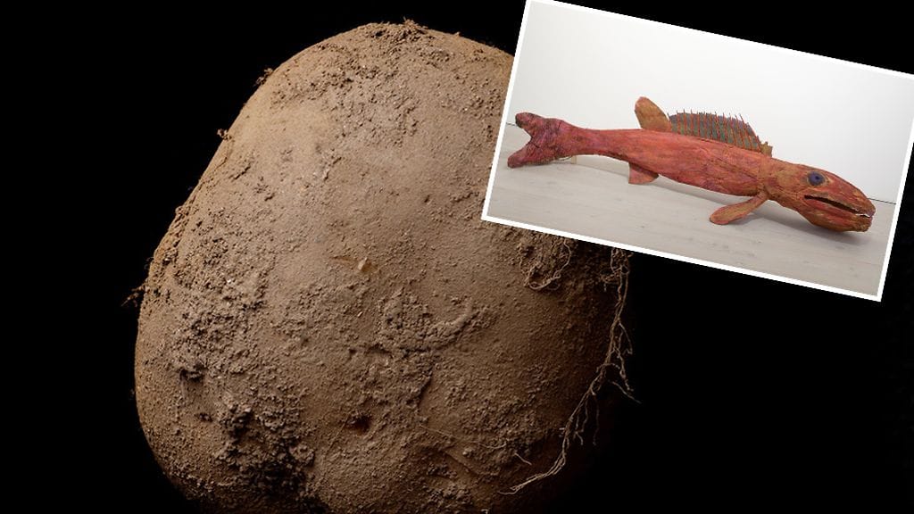 Irlantilaisen Kevin Aboschin valokuvateoksesta Potato #345 on taiteilijan itsensä mukaan maksettu miljoona euroa.