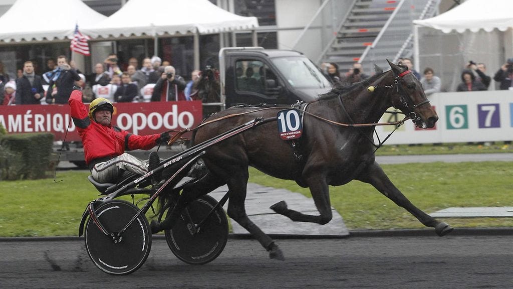 Franck Nivard ohjasti Bold Eaglen voittoon.