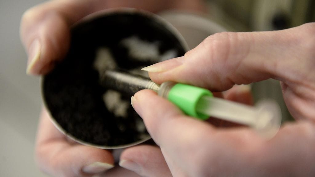 Samaan aikaan, kun tupakointi on vähentynyt, ovat sekä poikien että tyttöjen nuuskakokeilut lisääntyneet. Kuvituskuva.