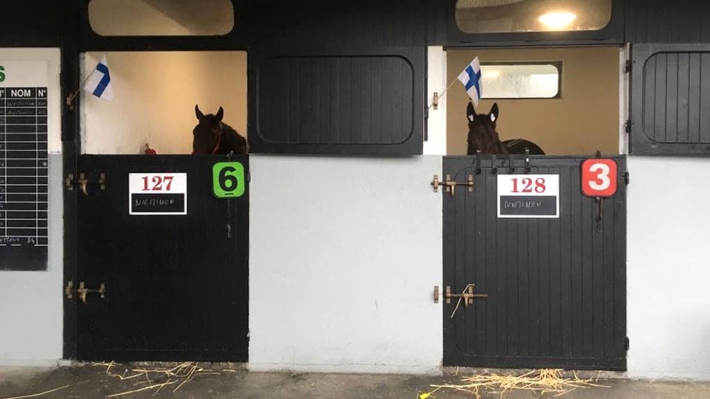 Quite An Avenger ja Callela Eliza veivät Vincennesiin suomalasväriä.