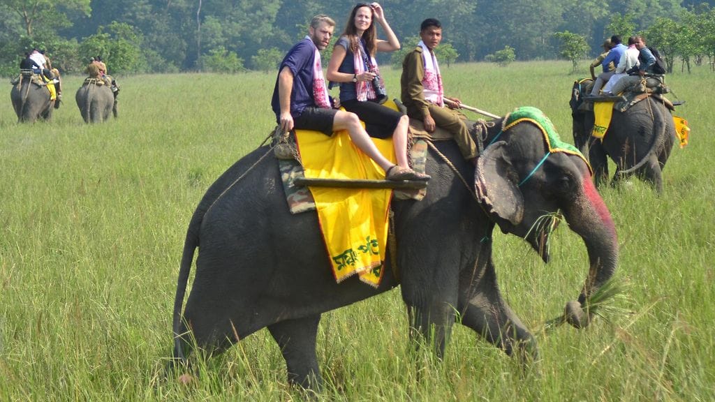 Norsuratsastukset ovat suosittuja Kaakkois-Aasian turistikohteissa. Kuvituskuva.