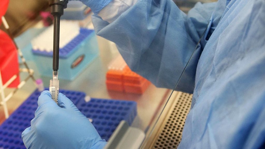 Tutkimus on optimistinen sen suhteen, että zika-virusta vastaan saataisiin pian kehitettyä ihmisille soveltuva rokote. Arkistokuva.