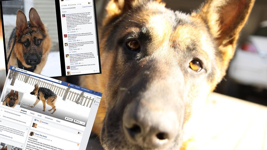 Kuvituskuva ja kuvakaappaus Facebookista