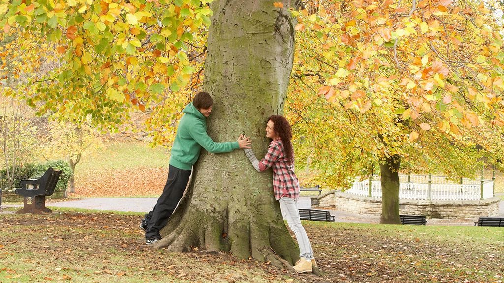 Muistatko, kun hän suitsutti ihanuuttasi joka päivä? Aika tehdä samoin!